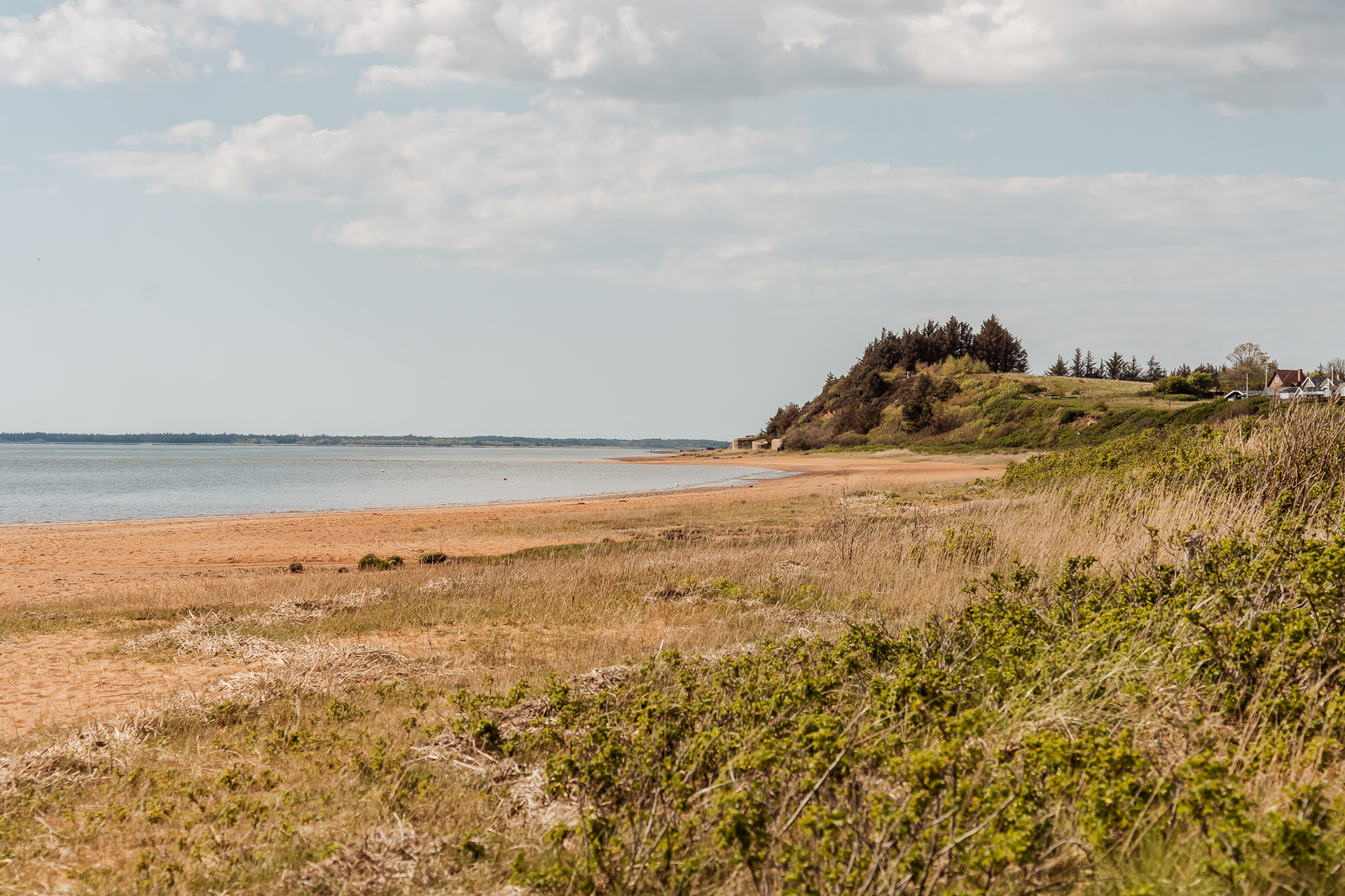 Wedding portrait at Northern Hjerting beach near Esbjerg