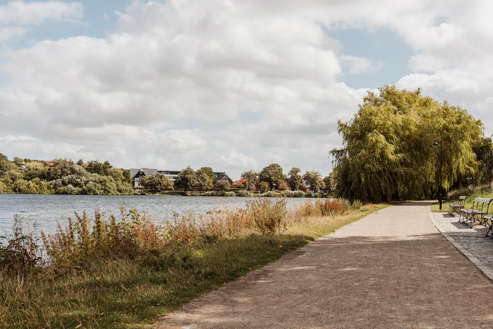 Willows leaning over the path beside Slotssøen in Kolding
